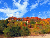 Scarborough Fall colors  