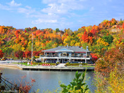 Scarborough Fall colors  