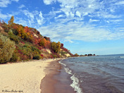 Scarborough Fall colors  