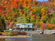 Scarborough Fall colors  