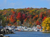 Scarborough Fall colors  