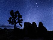 Joshua Tree National Park