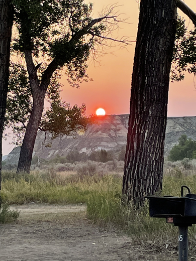 Theodore Roosevelt National Park