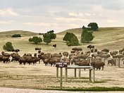 Badlands National Park