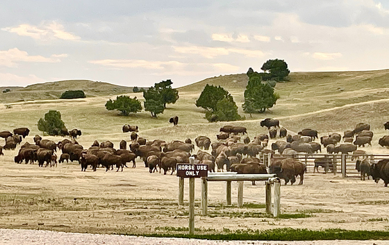 Badlands National Park