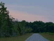 Alligator River NWR