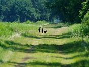 Pungo Unit