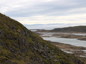 Magnificent Isolation - Baffin Island, Nunavut