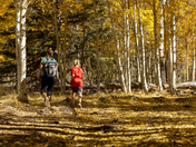 Coconino National Forest