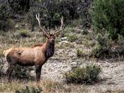 Carson National Forest