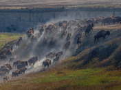 Badlands National Park