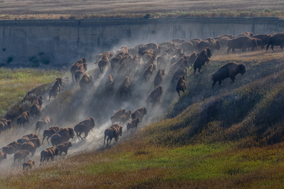 Badlands National Park