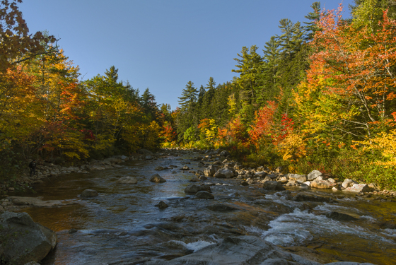 White Mountain National Forest