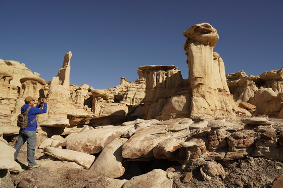 Bisti/De-Na-Zin Wilderness Area