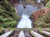 Multnomah Falls