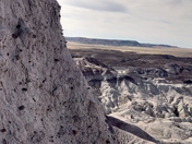 Petrified Forest