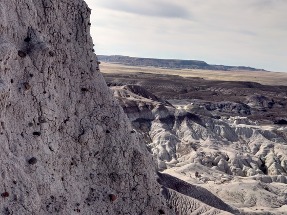 Petrified Forest