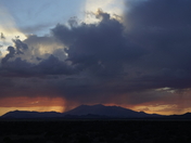 Coconino National Forest