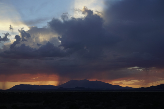 Coconino National Forest