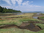 Billy Frank Jr. Nisqually National Wildlife Refuge