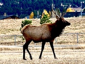 Rocky Mountain National Park