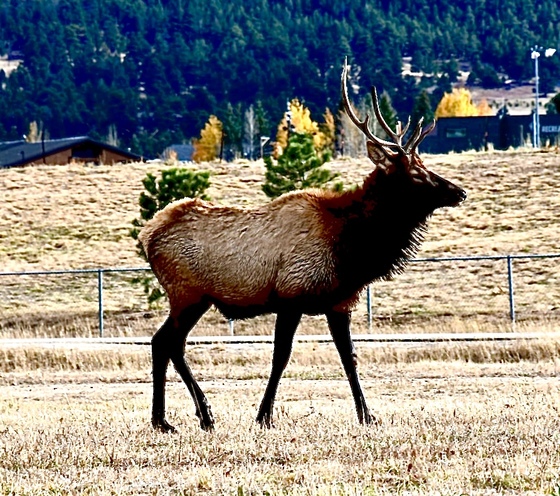 Rocky Mountain National Park