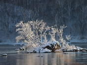 C&O Canal 