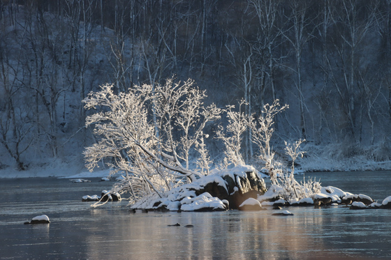 C&O Canal 
