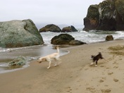 Lands End - Golden Gate National Recreation Area