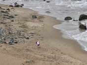 Lands End - Golden Gate National Recreation Area