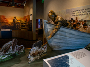 Harriet Tubman Underground Railroad National Historical Park