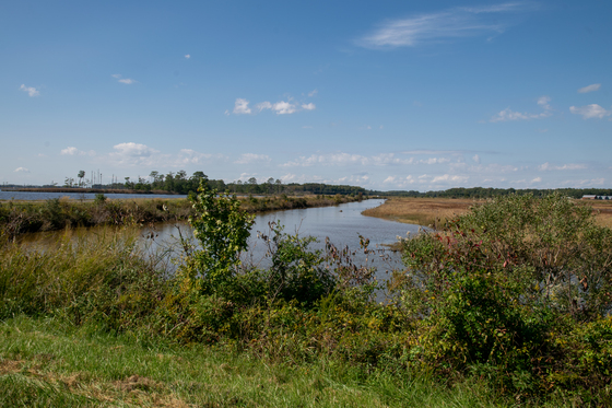 Blackwater National Wildlife Refuge