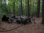 Blackwater National Wildlife Refuge