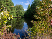 Blackwater National Wildlife Refuge 