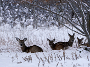 What a difference...#2