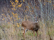 What a difference...#1