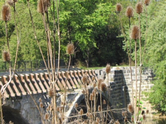 Chesapeake and Ohio Canal