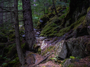 Klondike Gold Rush National Historical Park