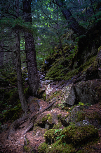 Klondike Gold Rush National Historical Park