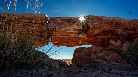 Petrified Forest National Park