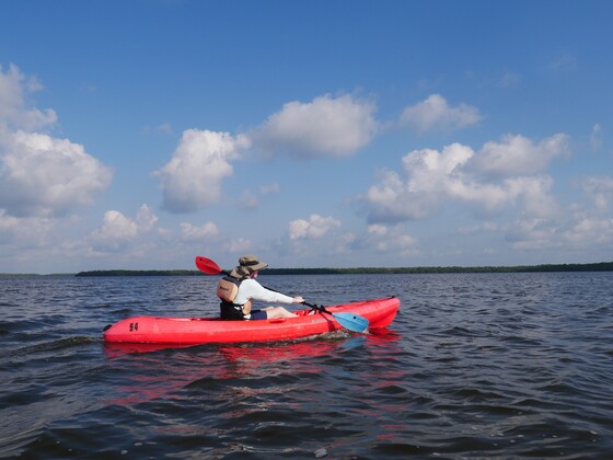 Everglades National Park