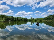 Blue Marsh Lake
