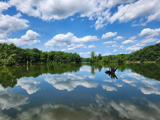 Blue Marsh Lake