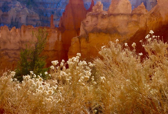 Bryce Canyon/Peek-A-Boo Loop Trail 