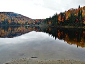 Rainy day in the National park