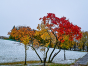 October snow 