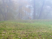 Effigy Mounds National Monument