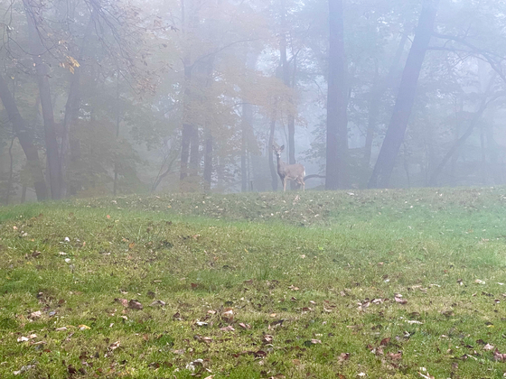 Effigy Mounds National Monument
