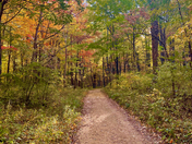 Shenandoah National Park