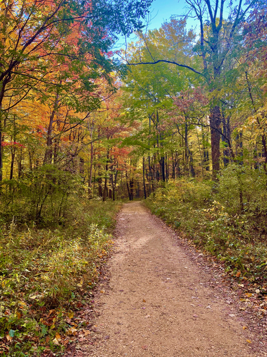 Shenandoah National Park